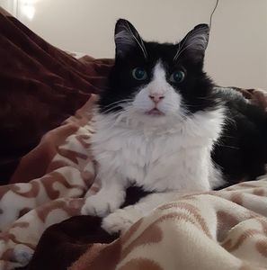 Meet your Posher, Silvia